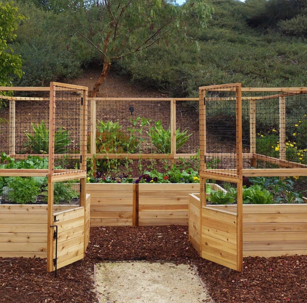 Cedar Raised Garden Bed With Deer Fencing