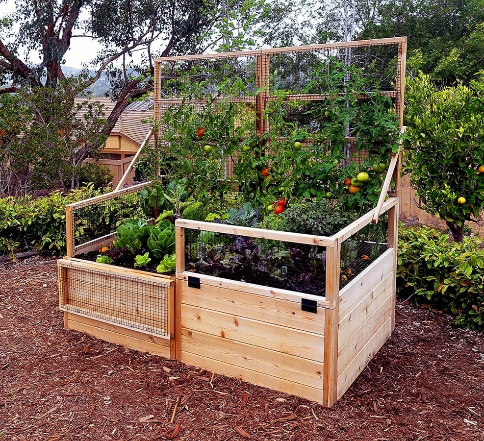 Garden Trellis | Raised Gardening Bed 6'x3' Trellis-Lid ...