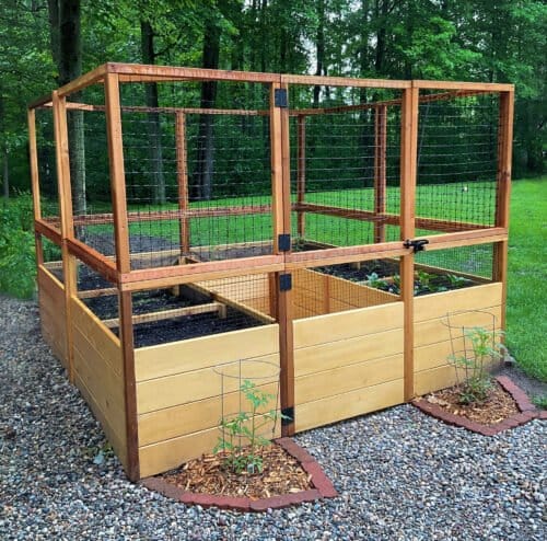 Deer Proof 8x8 Cedar Raised Garden Bed | Outdoor Living Today