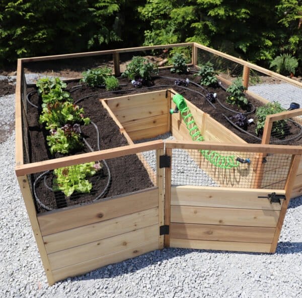 Deer Proof 8x8 Cedar Raised Garden Bed | Outdoor Living Today