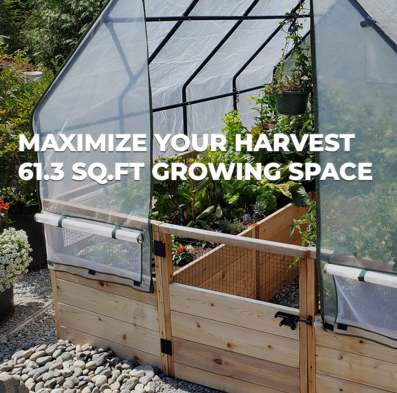 12X8 Growing Space