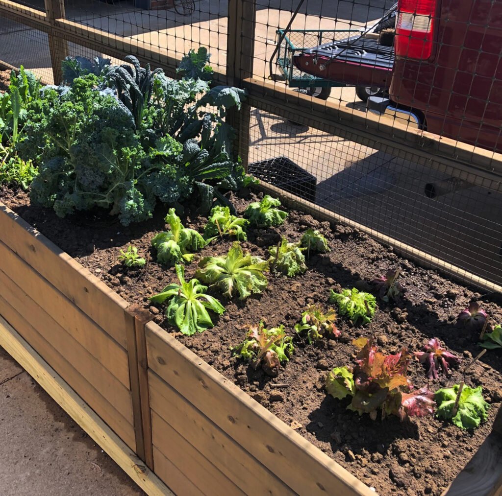 6x3 Raised Garden Bed With Trellis