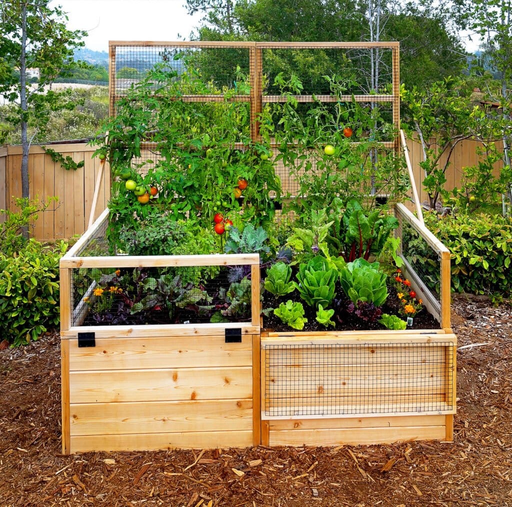 Cedar Raised Garden Bed 6x3 With Trellis