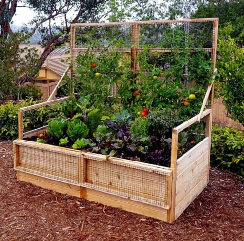 6x3 Raised Garden Bed With Trellis