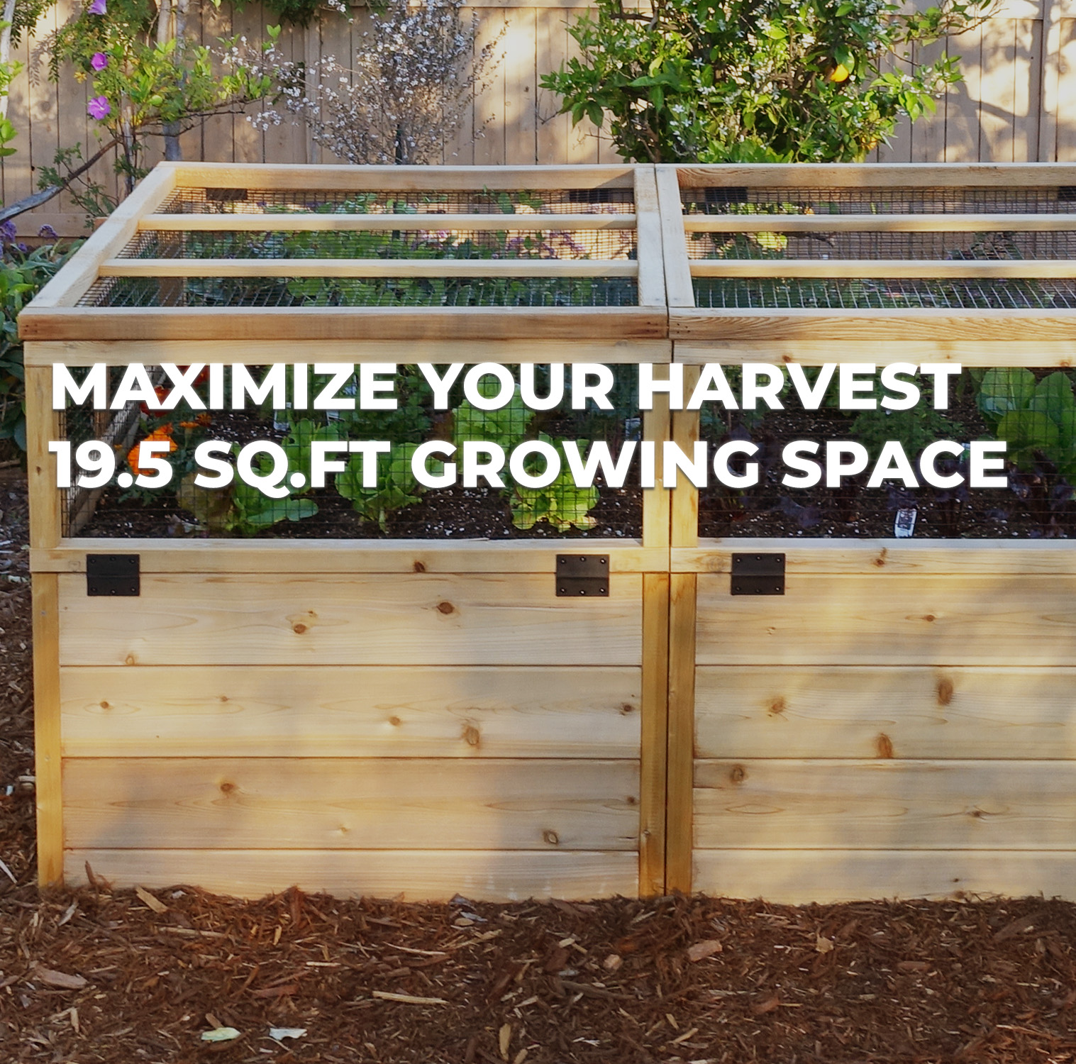 6x3 Growing Space