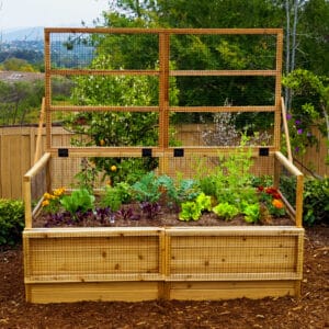 6x3 with Trellis