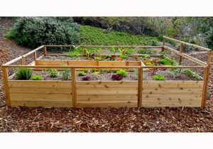 Gardening Bed | Raised Garden Bed