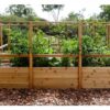 Gardening Bed | Raised Garden Bed with Deer Fence
