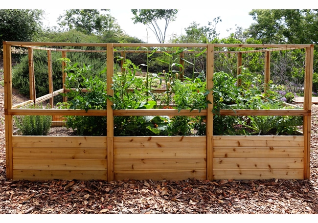Garden Deer Fence Raised Bed, Raised Garden Bed With Fence