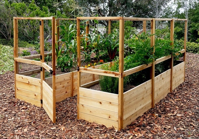 Garden Deer Fence Raised Bed Outdoor Living Today - How To Build A Fenced Raised Garden Bed