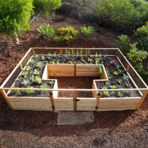 Raised Garden Bed | 12x8