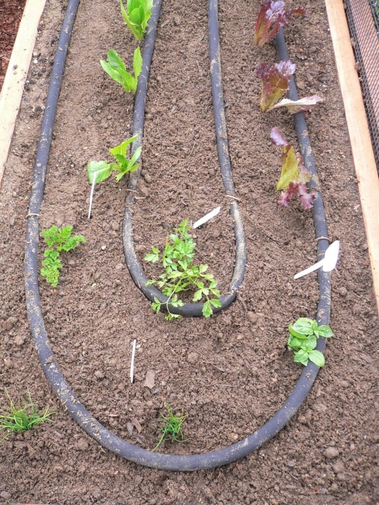 Auto Watering System