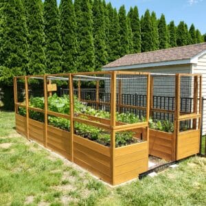 Garden in a Box Kit with Deer Fence Kit | 8 x 16 - OLT