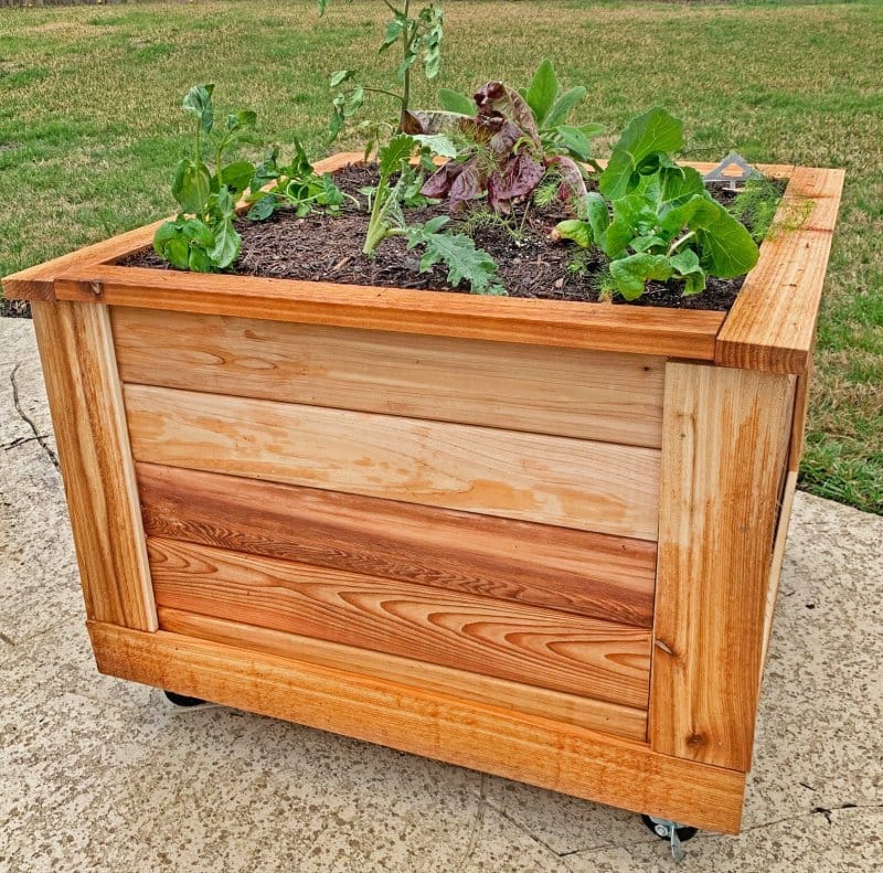 self-watering-planter-2x2- Outdoor Living Today