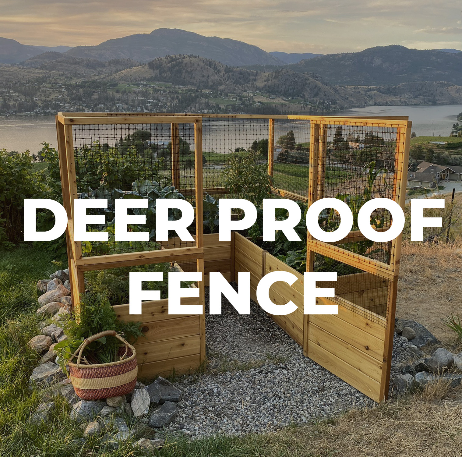 Deer Proof Fence