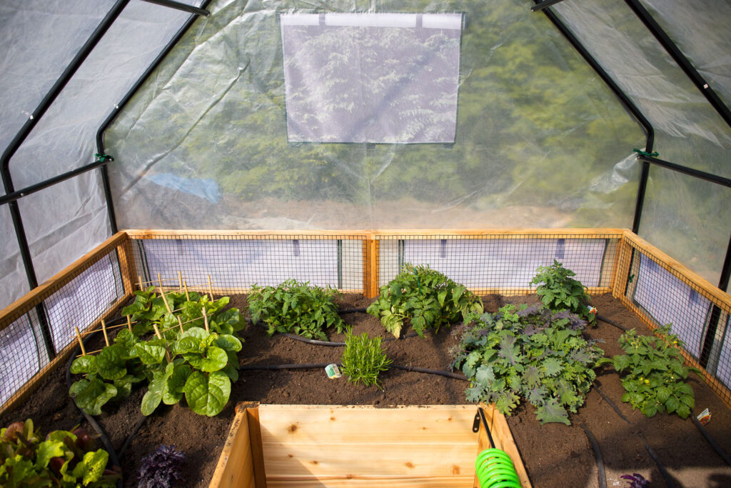 Raised Garden Bed Greenhouse cover 5