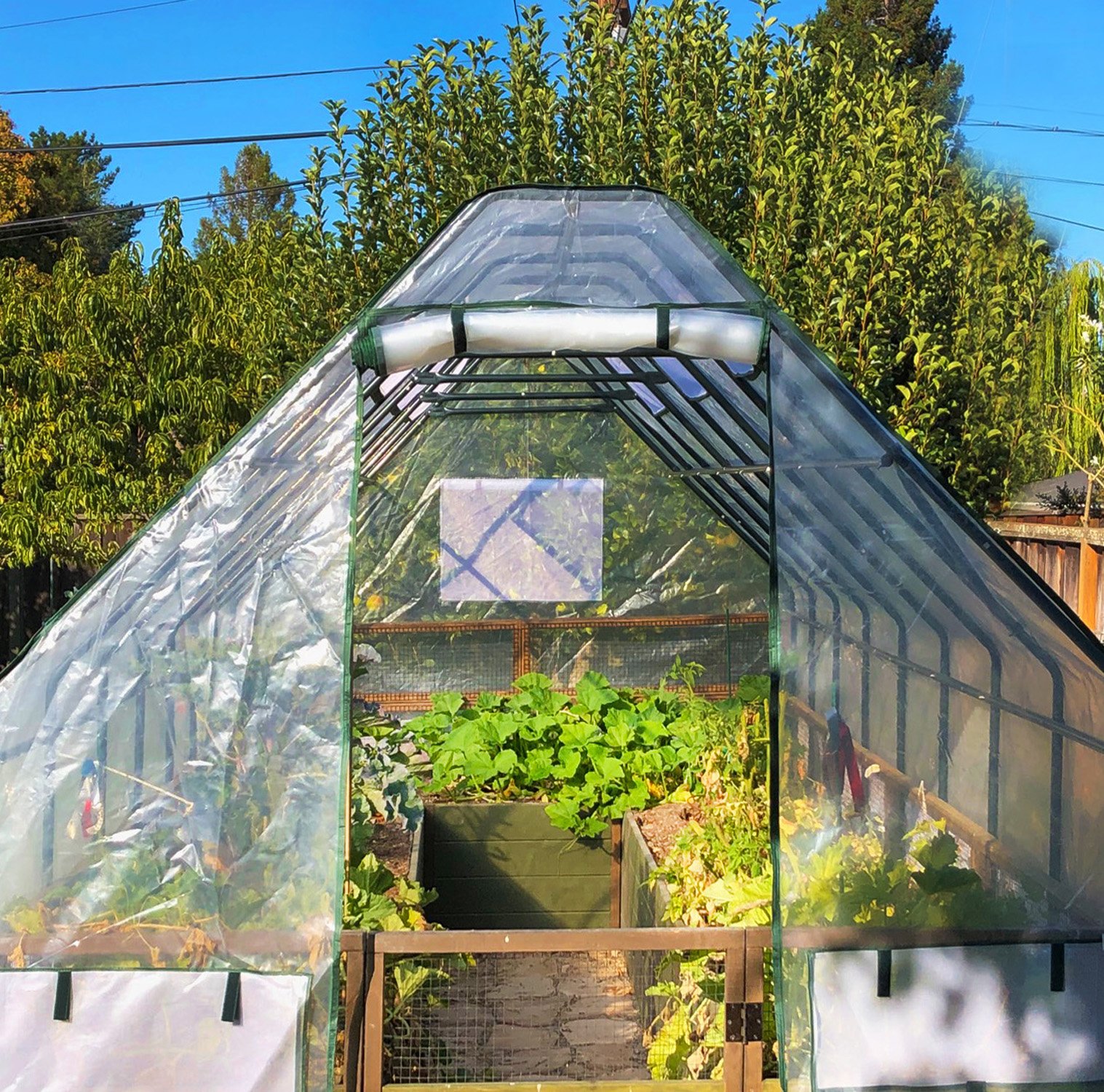 greenhouse cover 1